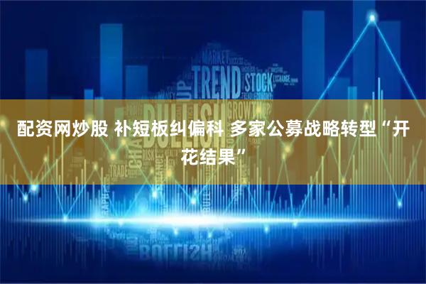 配资网炒股 补短板纠偏科 多家公募战略转型“开花结果”